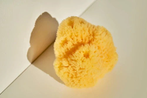 Gąbka menstruacyjna – czym jest i czy warto z niej korzystać?
