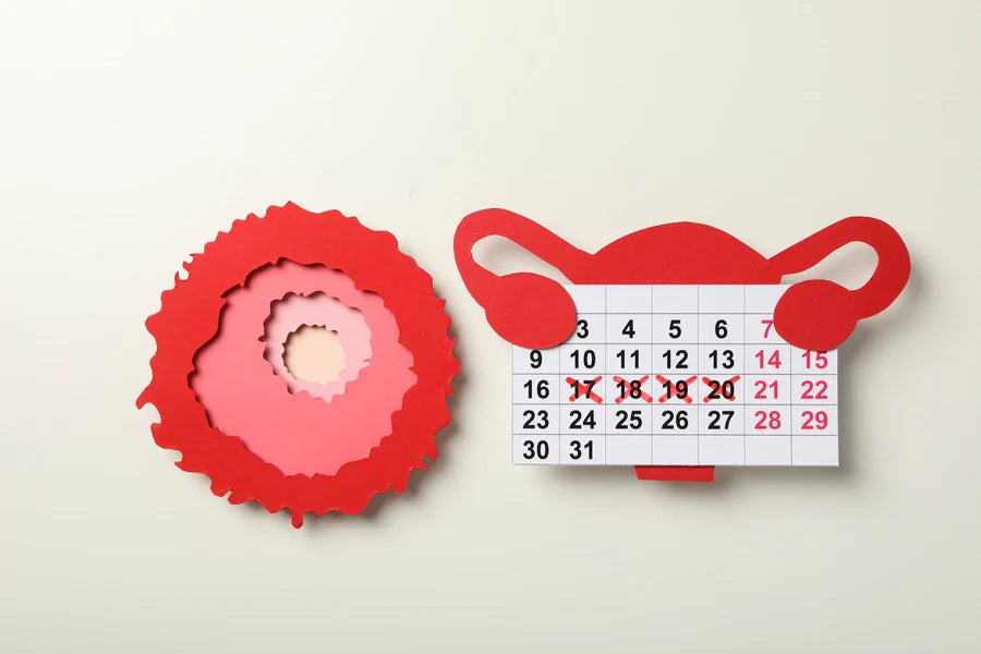 Jak działa cykl menstruacyjny?