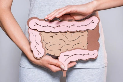 Mikrobiota jelitowa a hormony – jak bakterie jelitowe wpływają na układ hormonalny